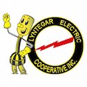 Lyntegar Electric