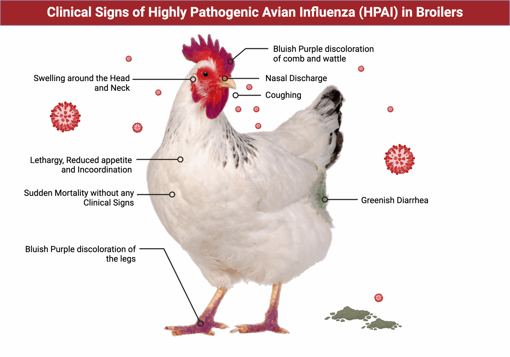 Wildlife Health Alert: Highly Pathogenic Avian Influenza Detected in ...