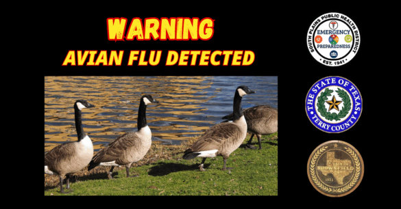 Wildlife Health Alert: Highly Pathogenic Avian Influenza Detected in ...